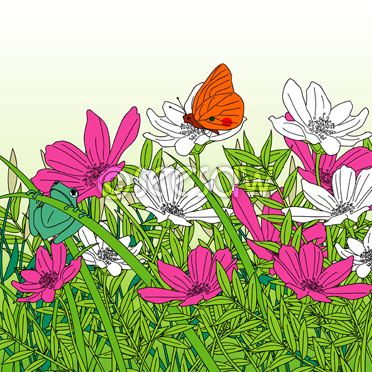 나비와 개구리가있는 꽃밭