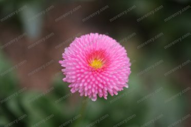 mp0245_메인이미지245