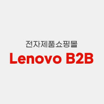 Lenovo B2B