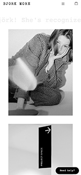 [비요크] 메인 2스타일