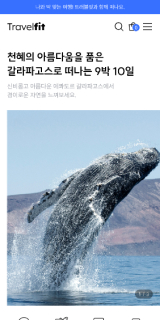 [PC + MO] 트래블핏