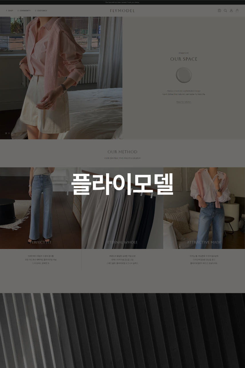 플라이모델