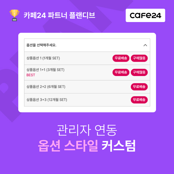 옵션 스타일 커스텀