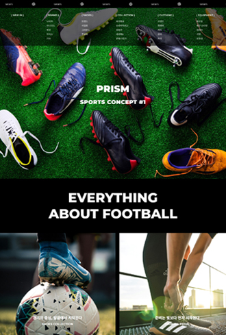 SPORTS 반응형