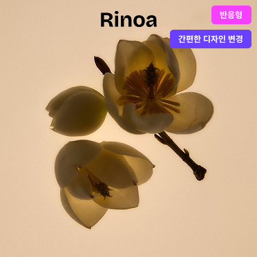 리노아 반응형 Ver02