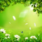 봄이미지 27