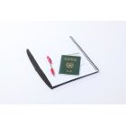 여권 7