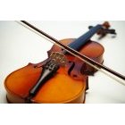 바이올린 191